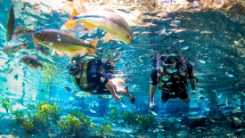 Pantanal e Bonito