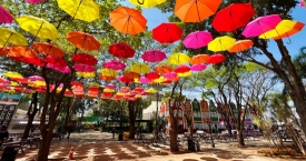 Campos do Jordão, Brasília, Rio Quente Resorts e Expoflora